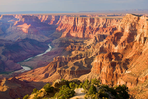 Arizona